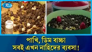 ১৬টি থেকে বাচ্চা ফুটিয়ে এখন পাঁচ হাজারের খামার | Quail Farming | Success Story | Rtv