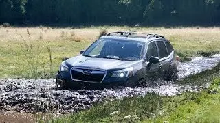 Llenamos de lodo al nuevo Subaru Forester │MOTORDRIVE