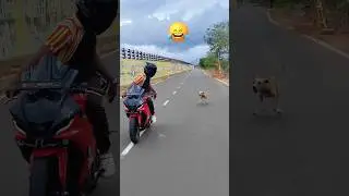 𝘿𝙤𝙜 𝘼𝙩𝙩𝙖𝙘𝙠...😂 #bike #duke #dancecraze #rider #dancetrend #love #viraldance #bikelover #biker