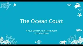 Young Ocean Advocate - The Ocean court