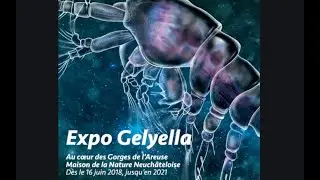 En savoir plus sur Gelyella - L'expo !