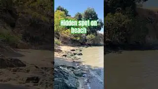 Camp state park, Marin County, California #travel #beach #shorts