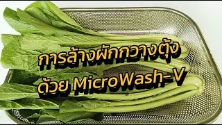 การล้างผักกวางตุ้งด้วยผลิตภัณฑ์ล้างผักและผลไม้ MicroWash-V