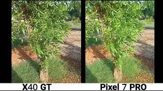 Honor X40 GT VS Google Pixel 7 Pro Camera Test