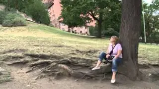 Германия, путешествие по городам и замкам Баварии, 2014 год