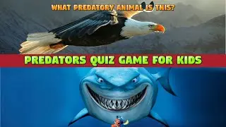 Predator Quiz for Kids - Name that Predator Game #predator #quiz #kidslearning #animals