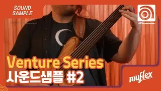 Ampeg | Venture Series | Sound Samples &ndash; Part II