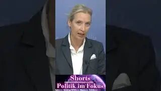 Die Brandmauer der Ampelregierung ist undemokratisch Alice Weidel AfD #afd #bundestag  #politik