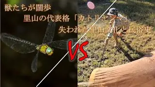 カトリヤンマを狙う！～獣が闊歩するようになった里山で失われた文化と民俗史の片鱗を見た～