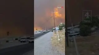 Thousands flee Greek island of Rhodes as wildfires spread