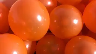 300 BALLONNEN OPGEBLAZEN || YORICK IN DE MALING GENOMEN || LUNE WOLTERINK