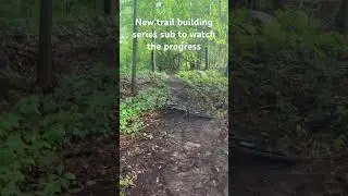 Trail building #mountainbike #mtb #bike #dirtjumps #bikepark #pumptrack #mountain #mtbbike #fyp