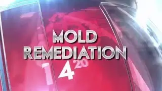 Columbus OH Mold Removal Service Restoration Intro Long