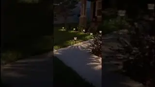 $3.88 Pathway LED Solar Light from Home Depot 💡✨