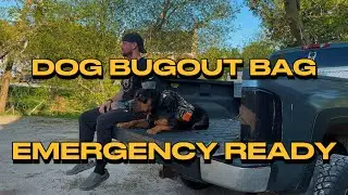Dog Bugout Bag Essentials (Don&rsquo;t Forget Your Best Friend)