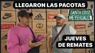 LAS PACAS GIGANTES DE SANTA CRUZ 