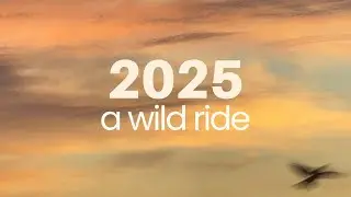 2025 Recap