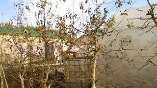 Как проредить густой сад.