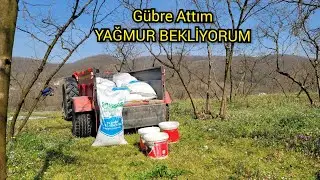 GÜBRE ATMA ZAMANI GELDİ - HANGİ GÜBREYİ ALDIM