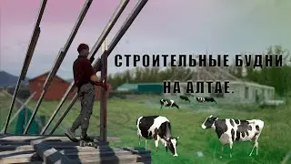 ДЕЛАЮ ПОДПОРКИ ПОД СТРОПИЛА. КОРОВКИ ПРИШЛИ В ГОСТИ. Будни со стройки на Алтае.