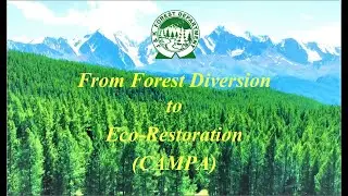 CAMPA Short Film : From Forest Diversion to Eco-Restoration