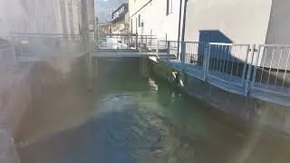 20221113 073 Grödig, Salzburg, Austria.