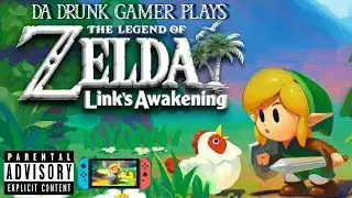 -SWITCH- THE LEGEND OF ZELDA: LINK'S AWAKENING *FINALE* Campaign (Facecam) {1080p/60fps}