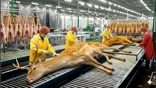 Inside the Deerskin Factory: The Art of Crafting Hunting Accessories and Luxury Fashion.