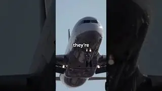 Welcome to Myrtle Avenue &mdash; where jets fly lower than your standards.