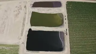 Color Boost Contrast Flicker