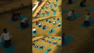 Course Work || Yoga Diploma ||