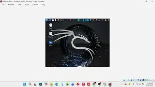 Display Size in Kali