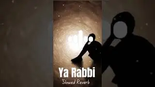 Islam, Muslim@