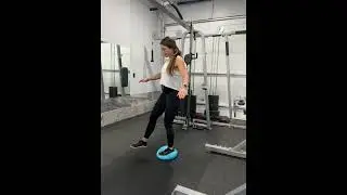 Wobble Cushion Single Leg Balance
