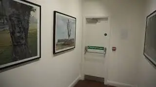 A quick tour around Yan Wang Preston 'Forest'