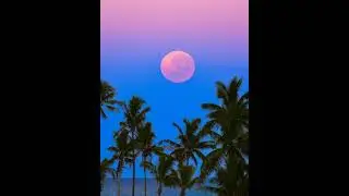 South Pacific Shadowset