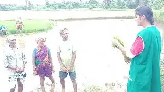 Awareness and Importance of crop booking and paddy leaf clipping at Linekothuru village