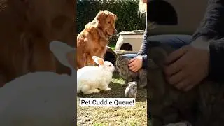 Fairness in Pet Cuddles! 😺🐶🐇🐹#Pets #AnimalLovers #Funnypets #CuddleTime #cozywildlings #shorts