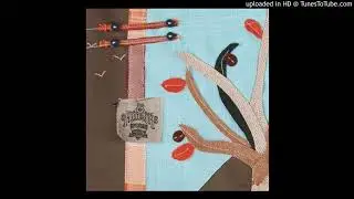 Abeja - Quiz&aacute;s