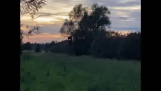 Im Sanddornfeld in Kossin