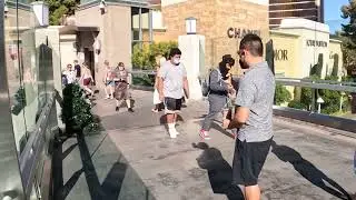 &laquo;Шутка в стиле бушменов вышла из-под контроля! 🌿😂&raquo;