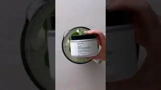 Green Smoothie With Modere Phytogreens And Axis | Healthy Bag