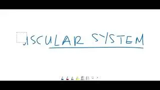 Anatomy & Physiology (BTEC Level 3) | Super PE Online