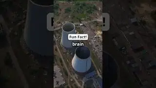 Fun Fact: Your brain is a mini power plant!