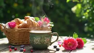 Winter Morning Jazz November Bossa Nova Piano & Lightly Coffee Jazz Background Music for Good Mood