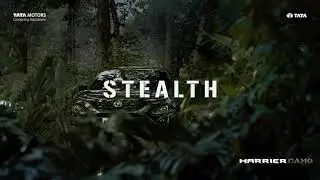 Harrier Camo | Stealth Pack