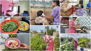 শাশুড়ি মা আজ রান্না ঘরে,বরের সাথে সন্ধ্যা বেলায় বেলকনিতে আড্ডা,সাথে ঘর deep ক্লিন করলাম