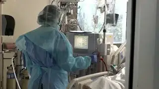 What&rsquo;s in the censored Florida Medical Examiners database of COVID-19 deaths?