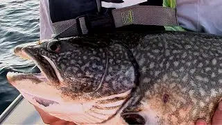 Lake Trout Fishing with Downriggers on Lake Huron