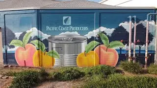 Pacific Coast Producers Lodi Production Facility Tour